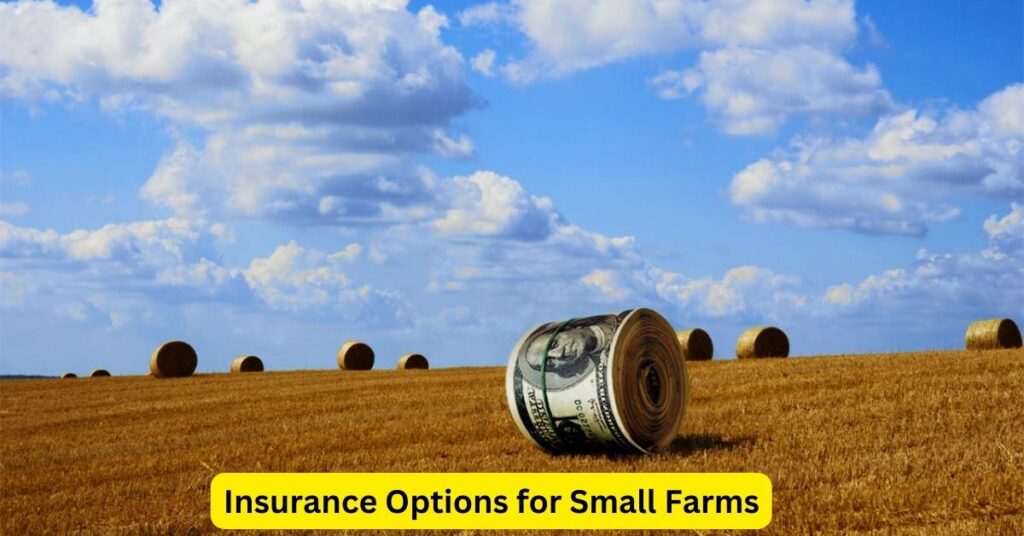 Safeguarding Sustainability: Insurance Options for Small Farms