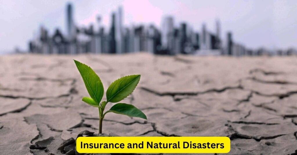 Insurance and Natural Disasters: Weathering the Storm of Uncertainty