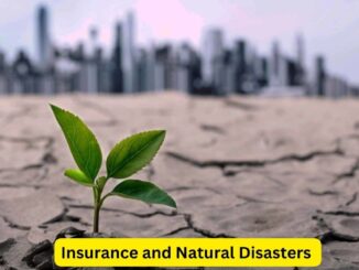 Insurance and Natural Disasters: Weathering the Storm of Uncertainty