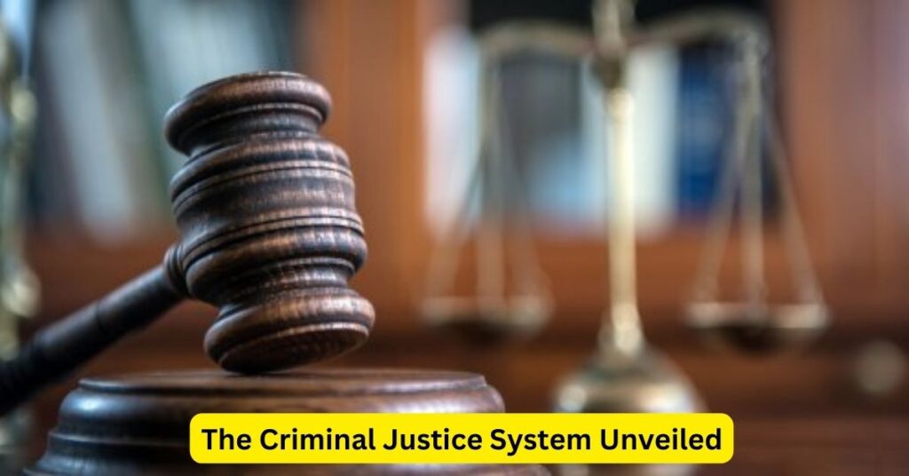 The Criminal Justice System Unveiled